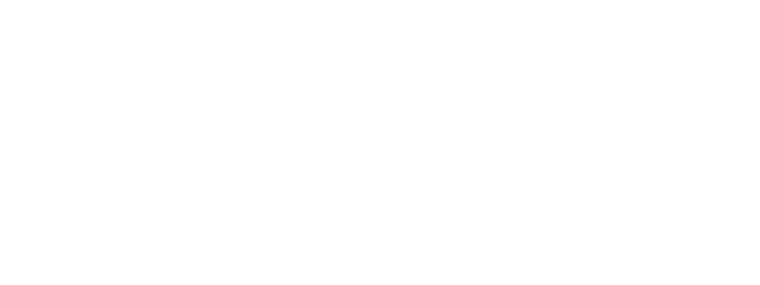 SNP CONSULTING
